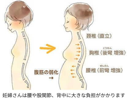 妊娠中の体の変化