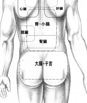 痛みの分布